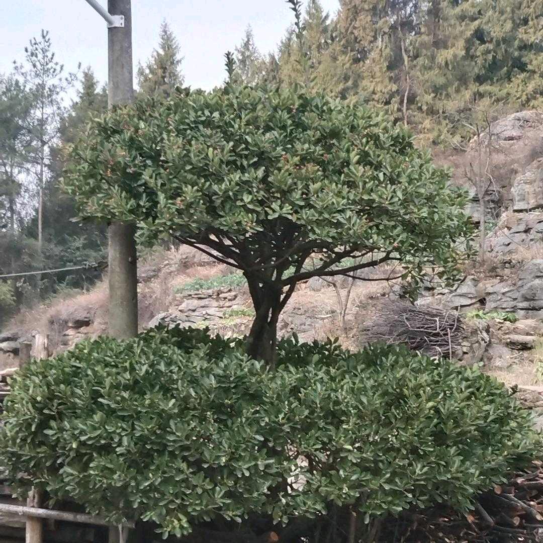 我的首互