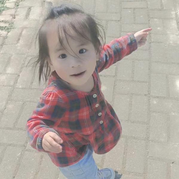 天若有情✌