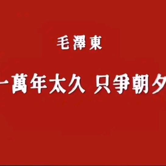 不争