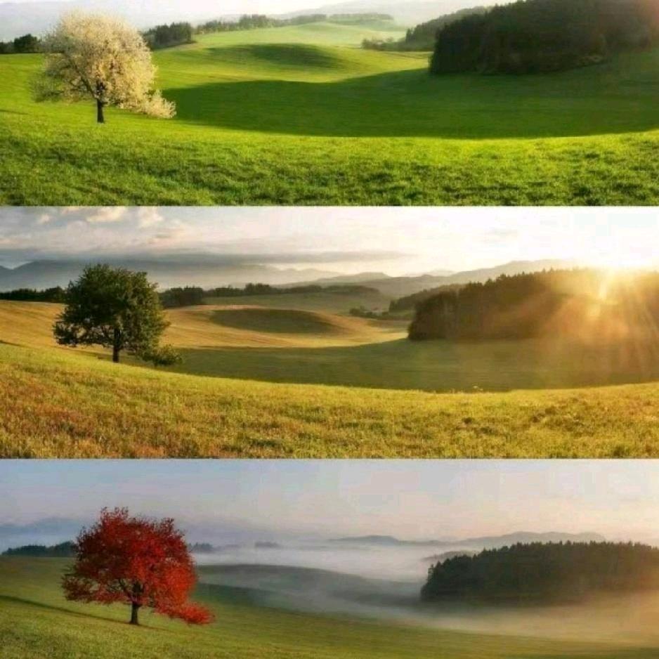 坚持下去，总会有失败的一天