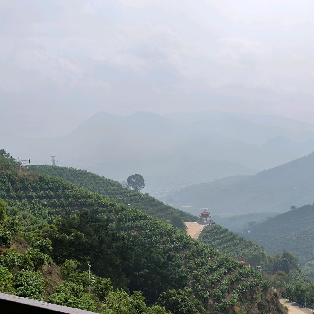 瑞瑞