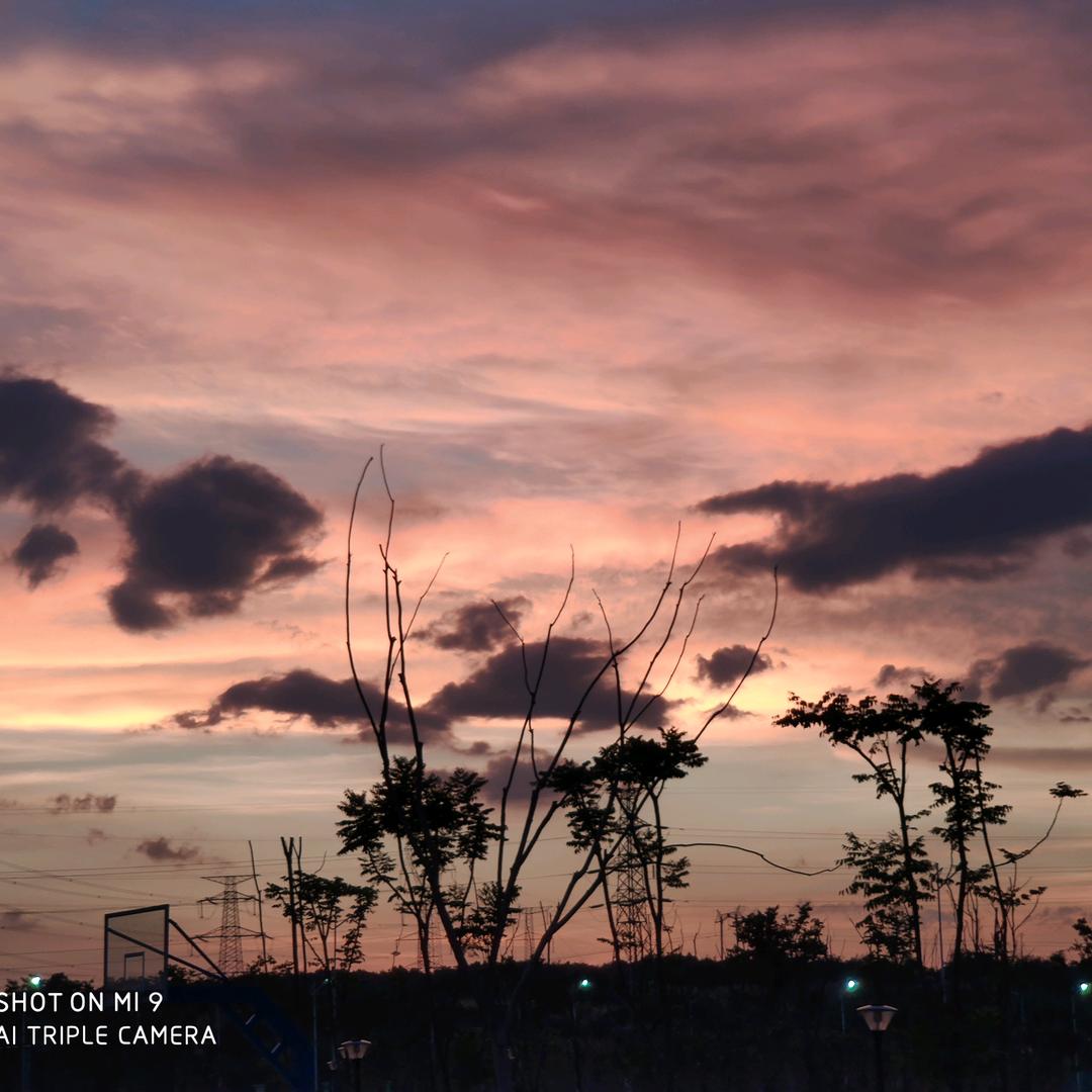 南大专转本小李老师