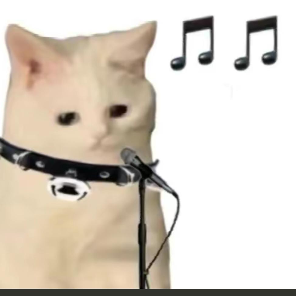 追光者