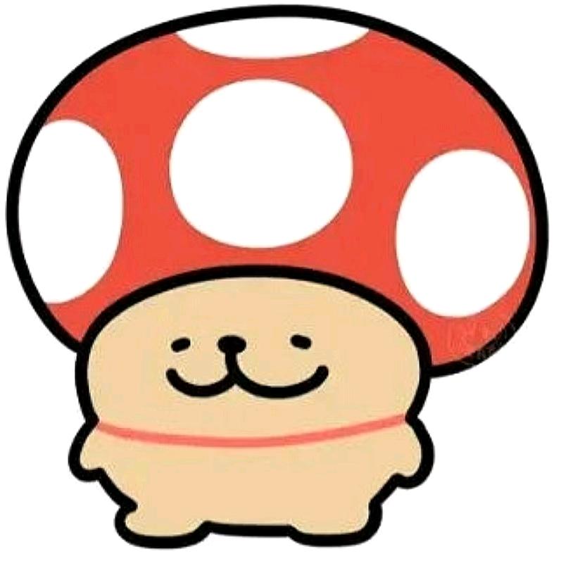 旋岚(小鸡毛版)