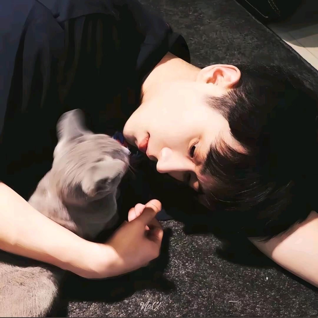 湖工大小y学长（非官方）