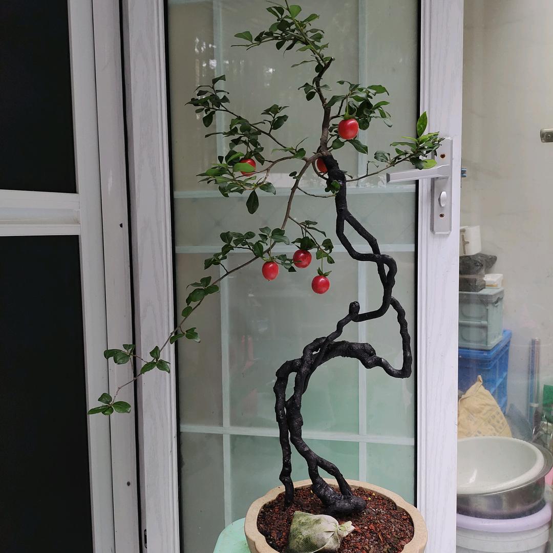 方寸之间