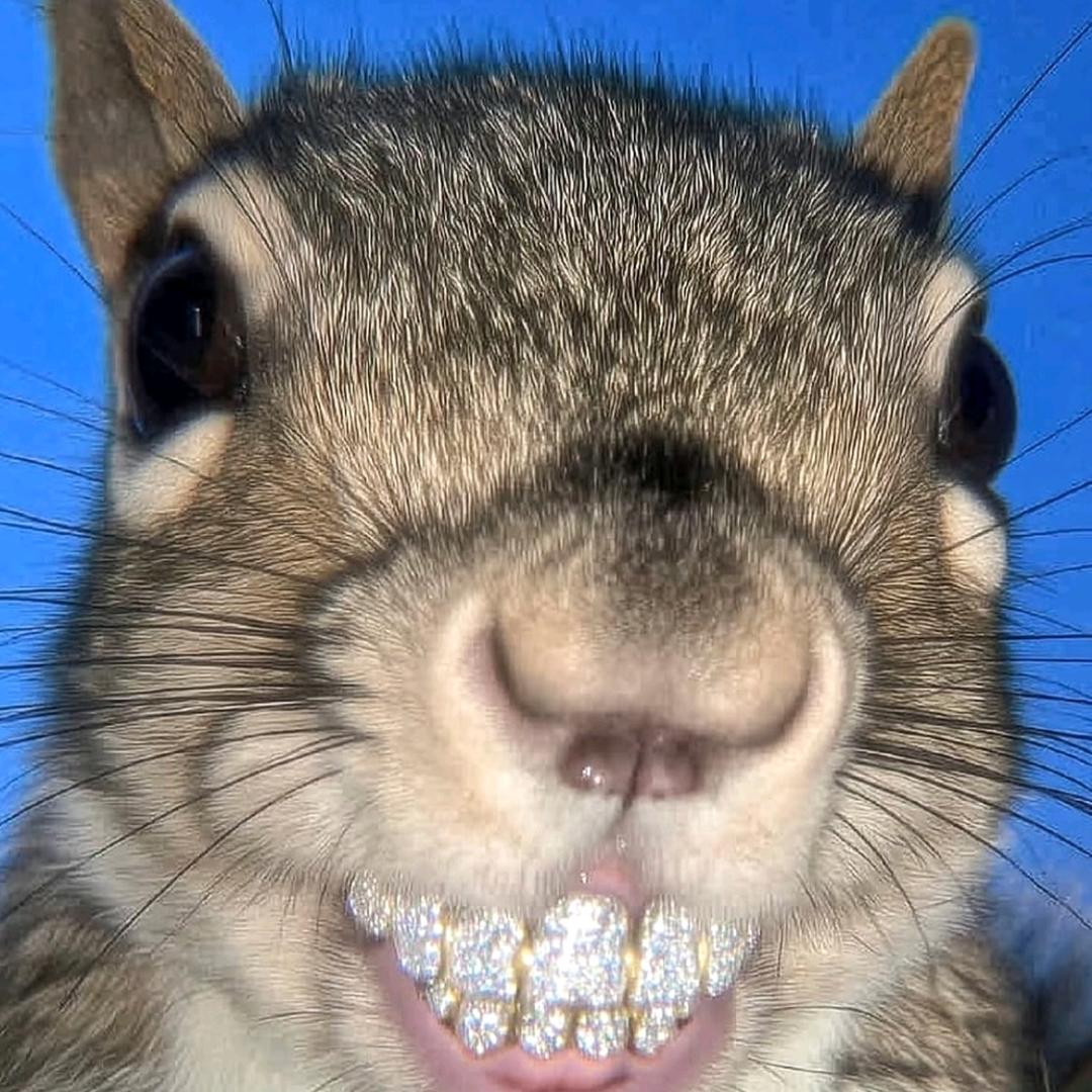 提拉米苏提拉大王