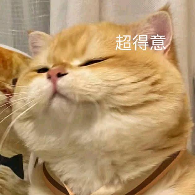 湫