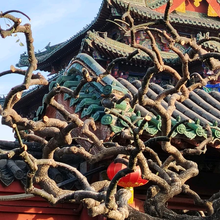 摸爬滚打