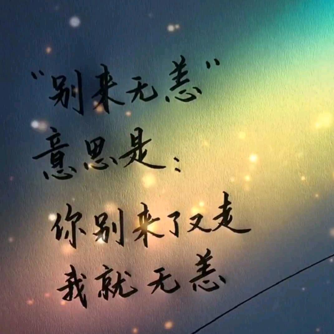 风行RaMi灬