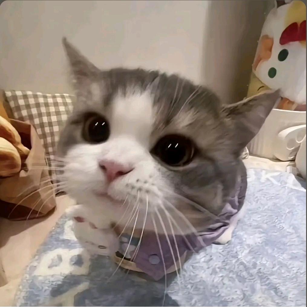 kisskiss