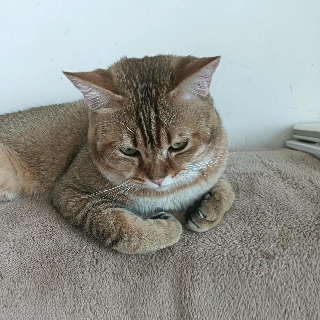 施法