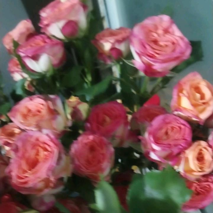 永远珍惜，！！！