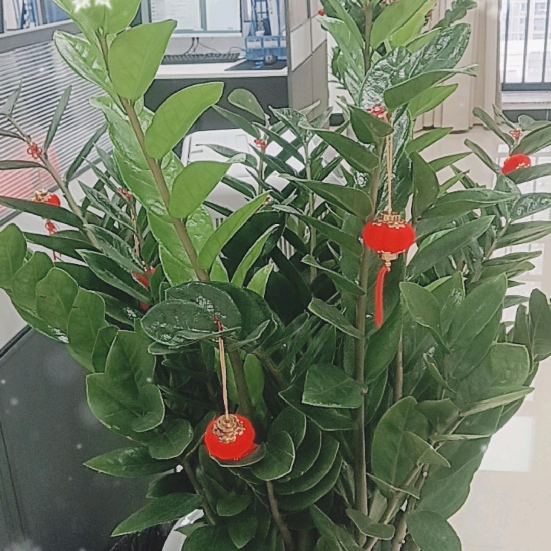 鸿盛涂HR琴姐在合肥