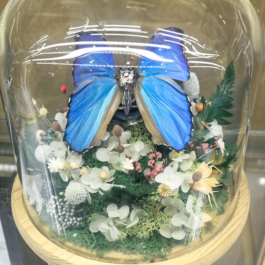 望眼蓝