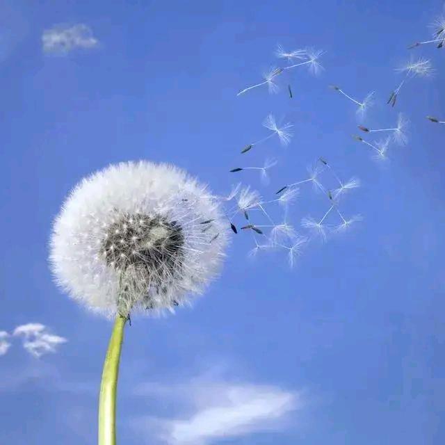 淡然于心