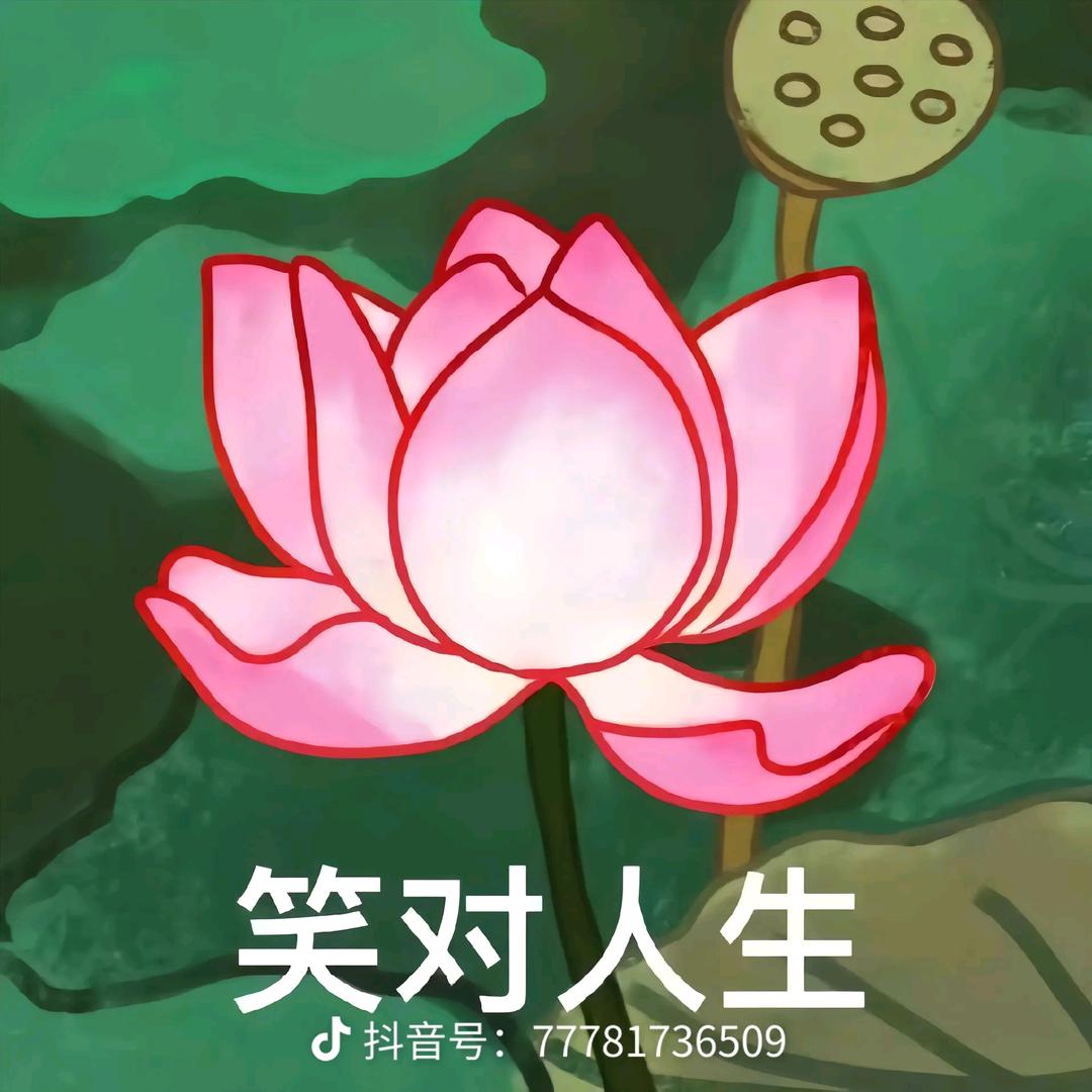 兴怀