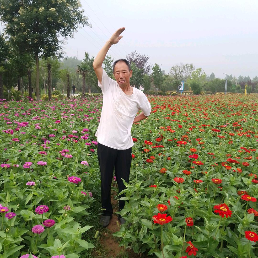 孤独小草