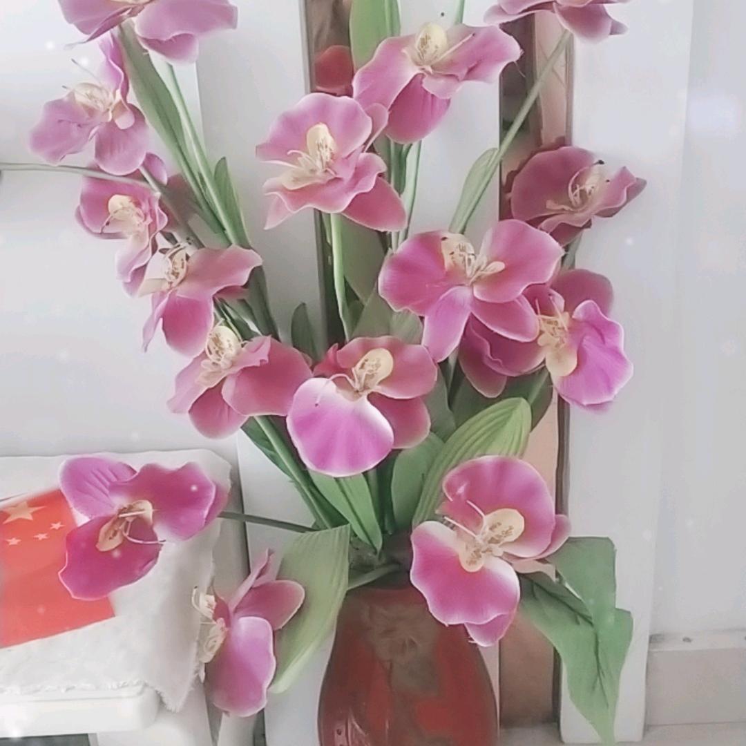 兰花
