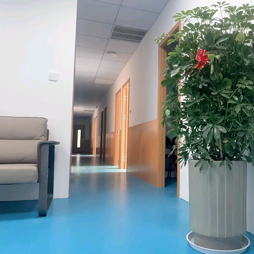 鲸鱼畅学🐳（学习咨询）