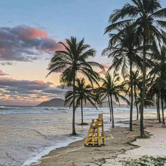 在湄公河听广播的白天鹅