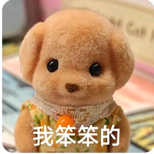 笨笨