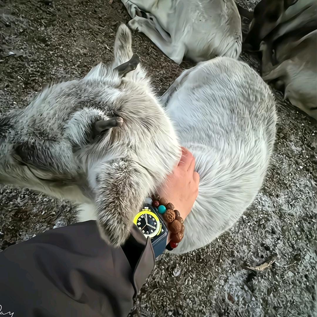 向前（不喝鸡汤）