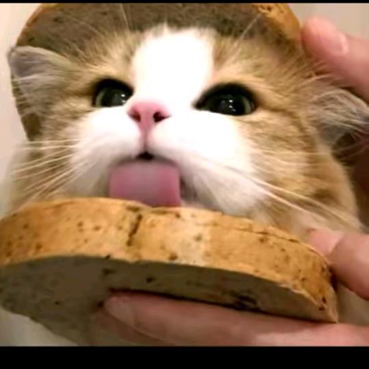 DY-等级 不玩换米