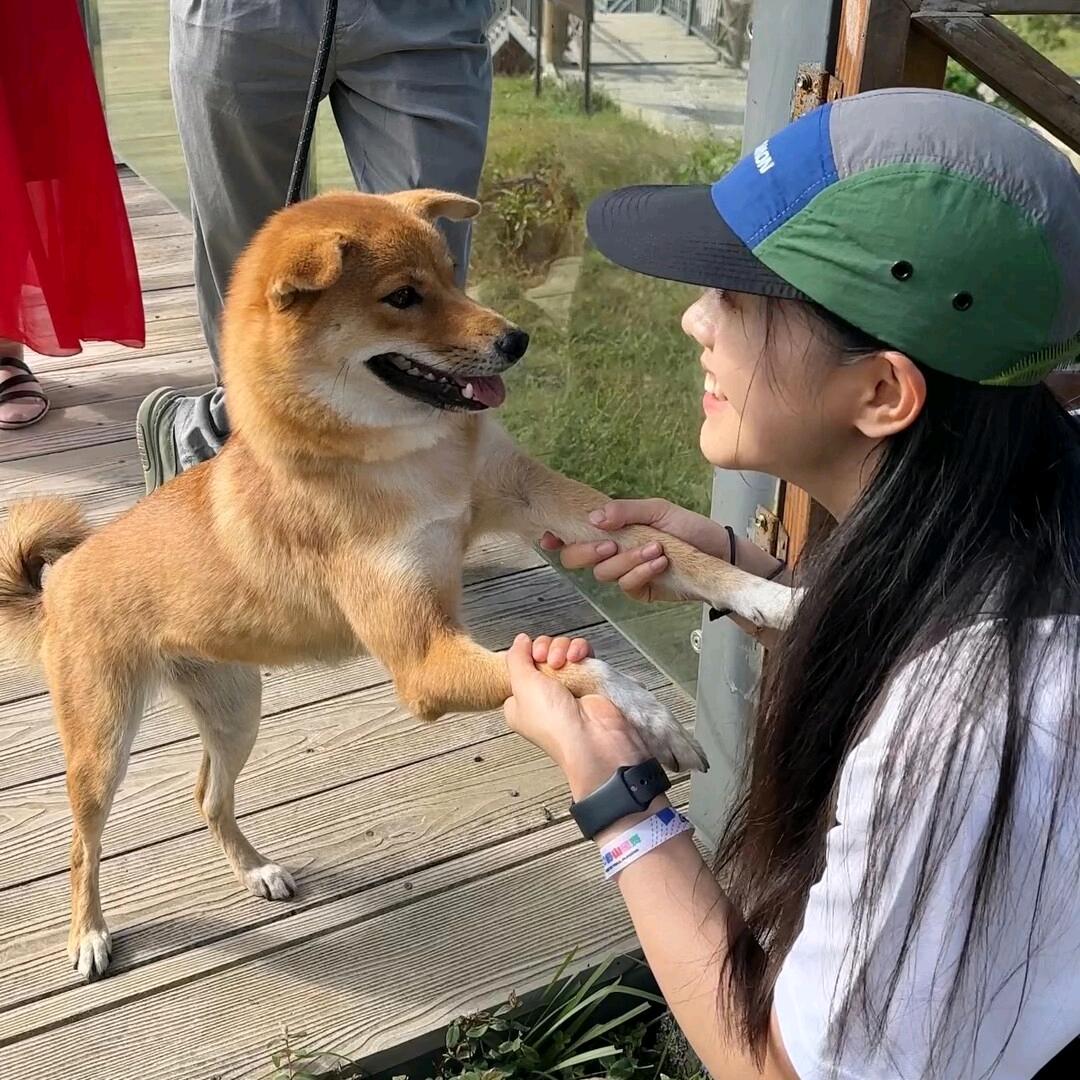 小新没蜡笔