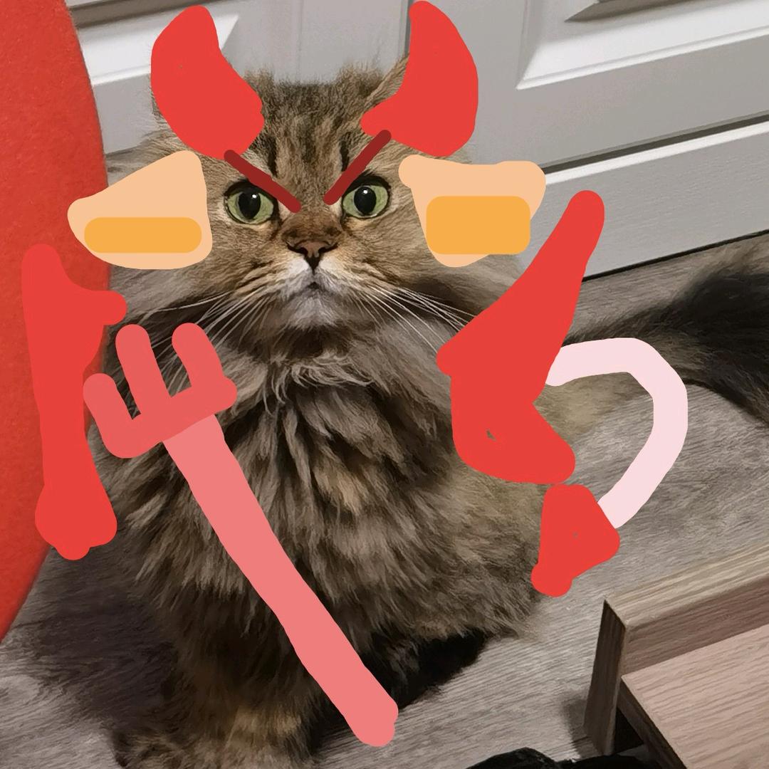 肉嘟嘟的卡卡🦁🦁——卡卡舞狮团团长