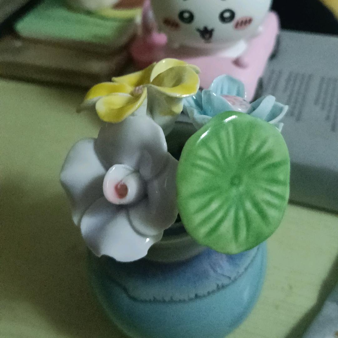 一只鱼