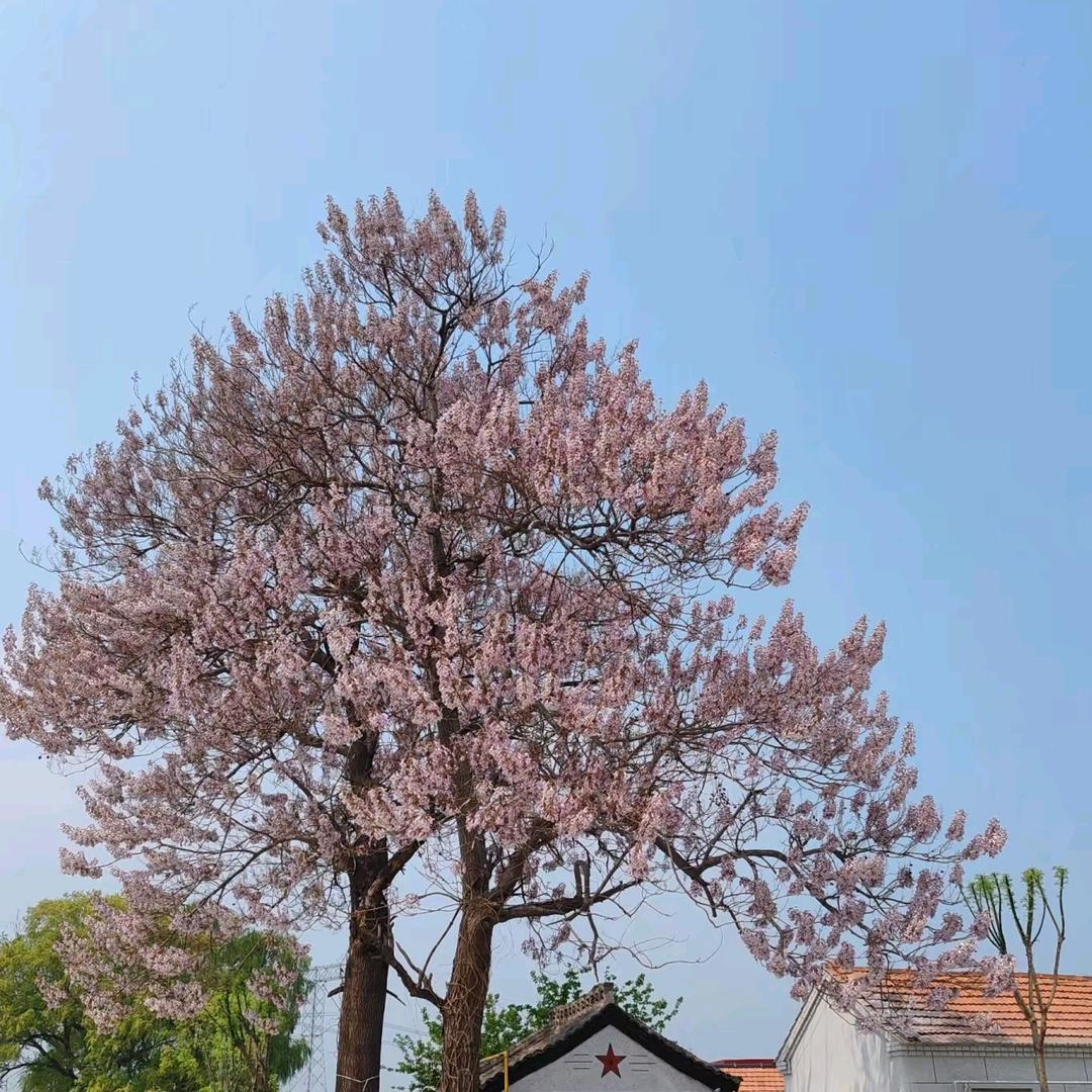 顺其自然，随遇而安