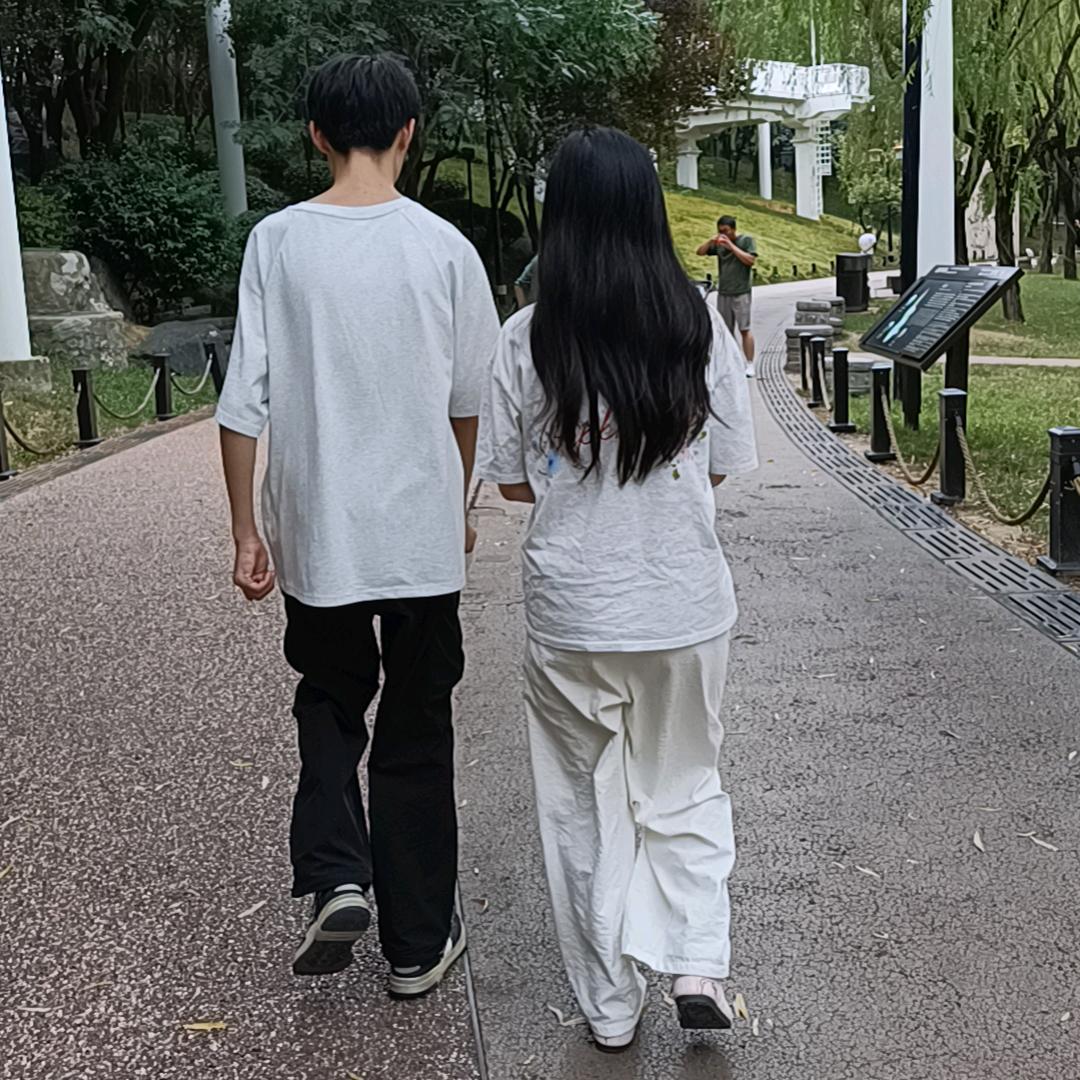 会飞的小鸟