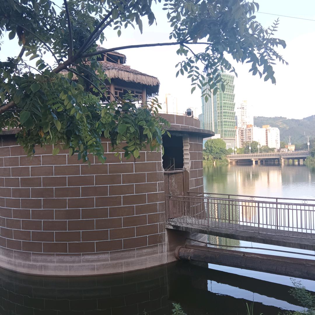 流浪人  （关注我会给您带来快乐喔😎