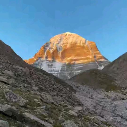 我是贝哥