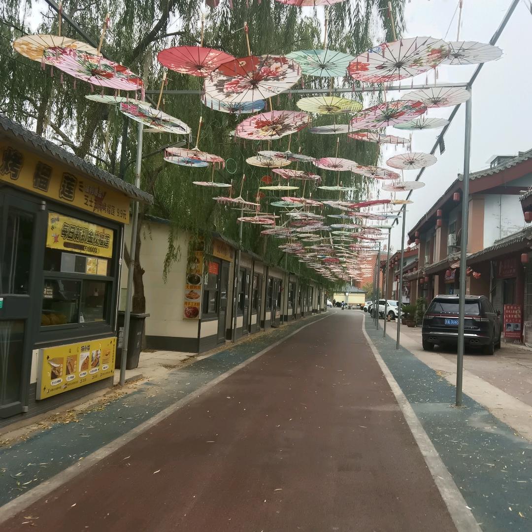 青春年华头像