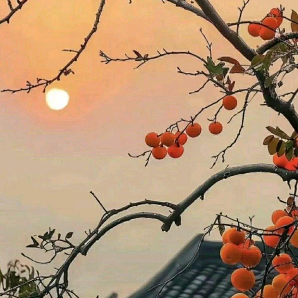 涵涵