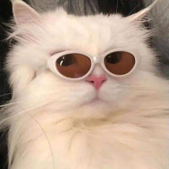 方世玉
