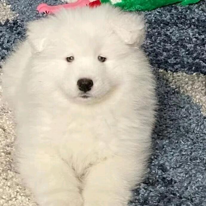 沉暮