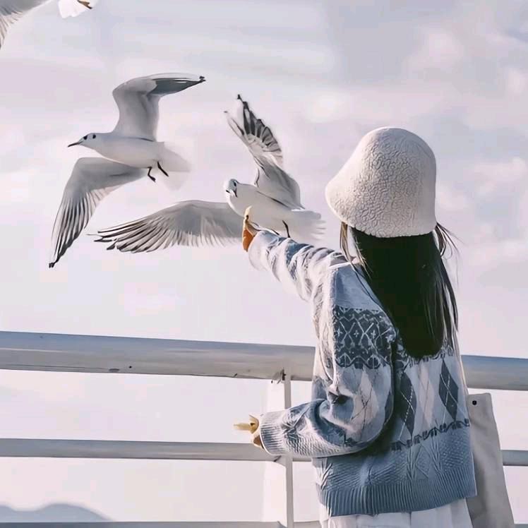 ❤️一路向前冲