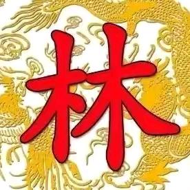 林公子