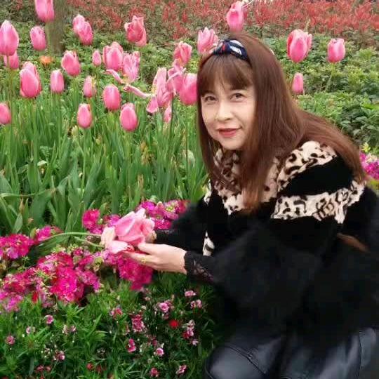 快乐单身二姐