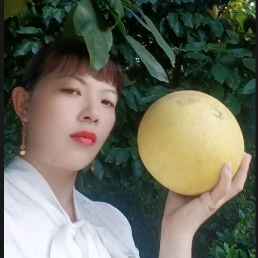 侯艳