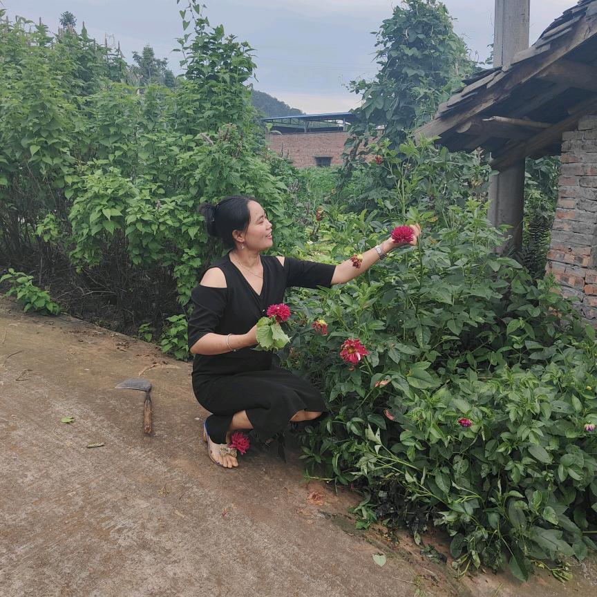 小丽丽