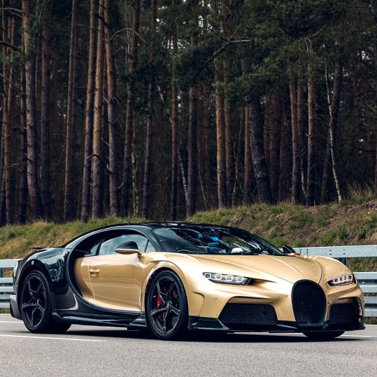 🕊༺༃向༒钱༒看༒༃༻ 🕊