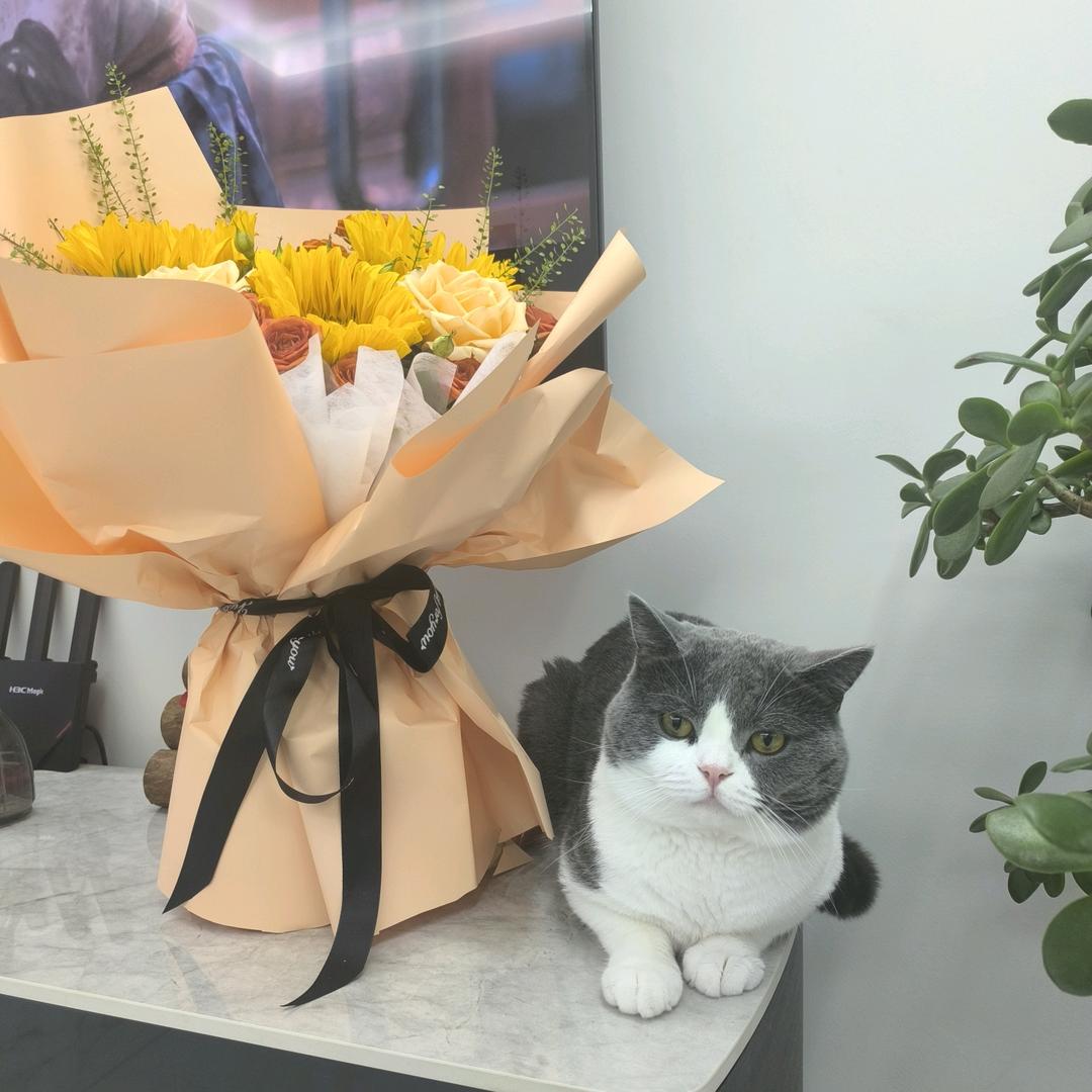 (ಥ_ಥ)走心