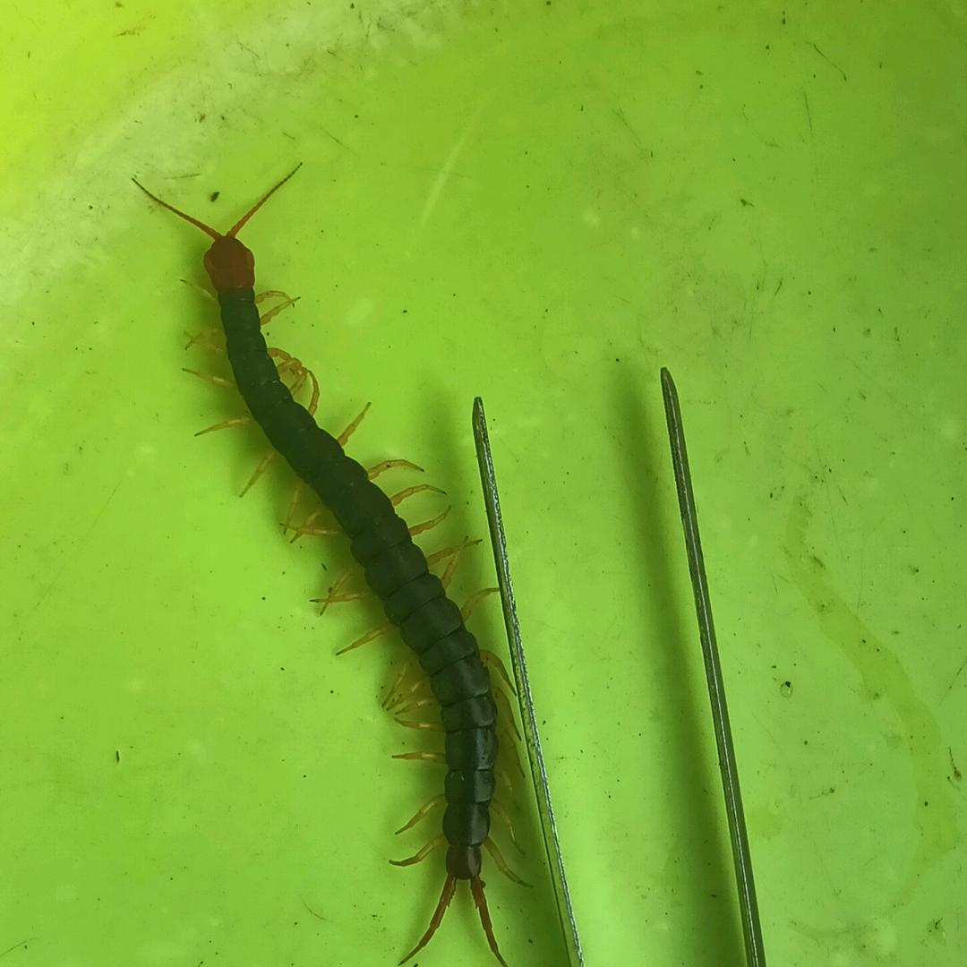 是否知否