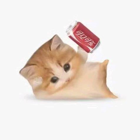 oo