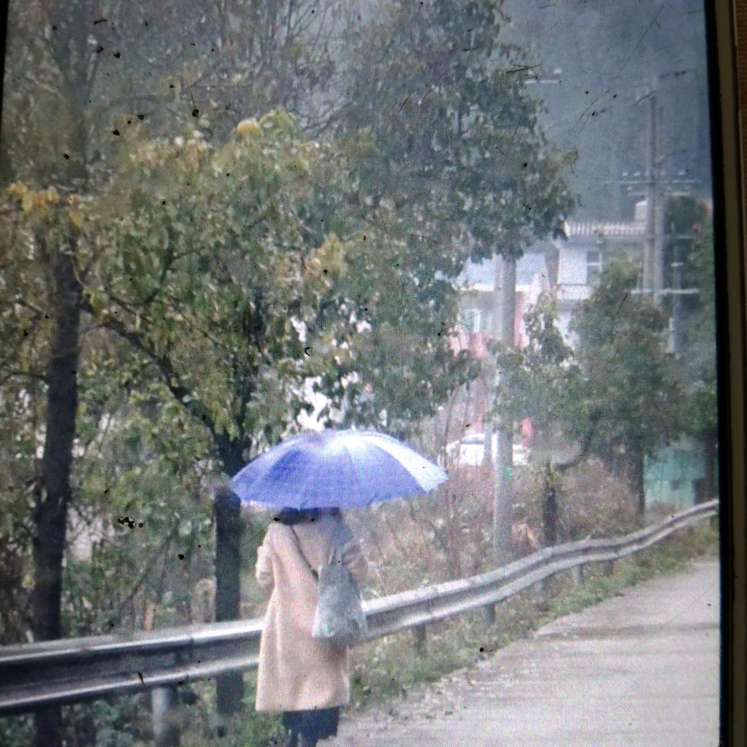 拼博