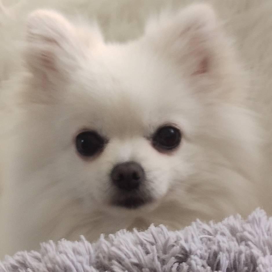 /11